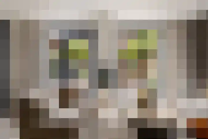 Dorpsplein 10 E Wekerom thumbnail 4