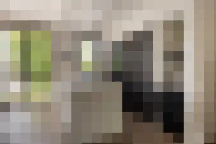 Dorpsplein 10 E Wekerom thumbnail 9