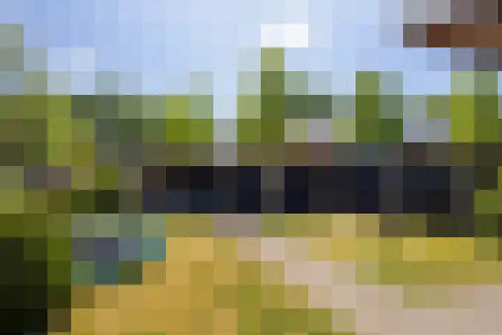 Dorpsplein 10 F Wekerom thumbnail 34