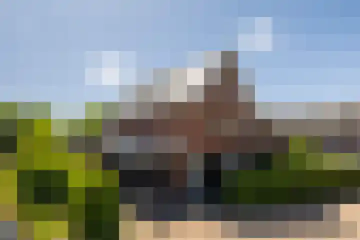 Dorpsplein 10 F Wekerom thumbnail 38