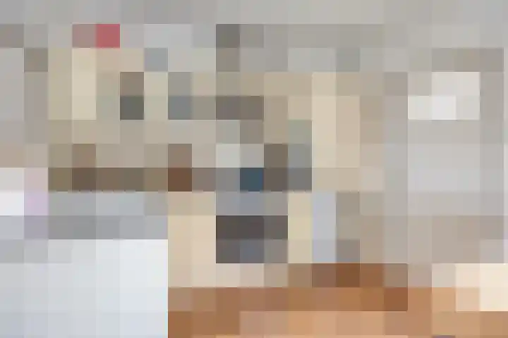 Dorpsplein 10 Nisse thumbnail 10