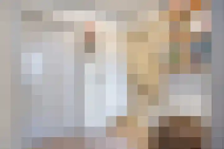 Dorpsplein 10 Nisse thumbnail 14