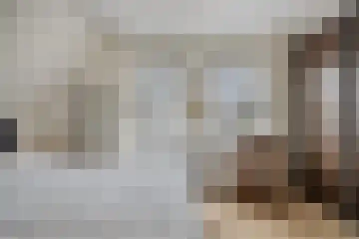 Dorpsplein 10 Nisse thumbnail 15