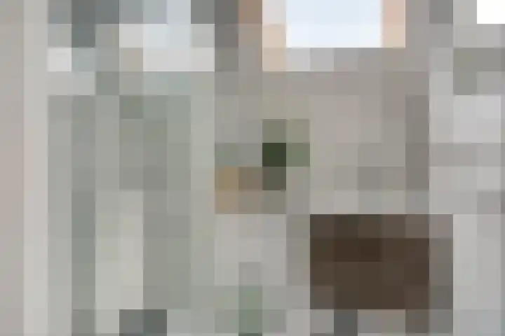 Dorpsplein 10 Nisse thumbnail 17
