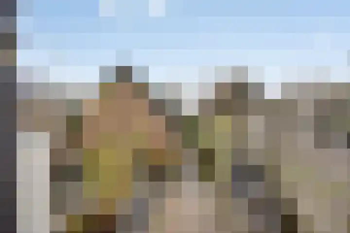 Dorpsplein 10 Nisse thumbnail 21