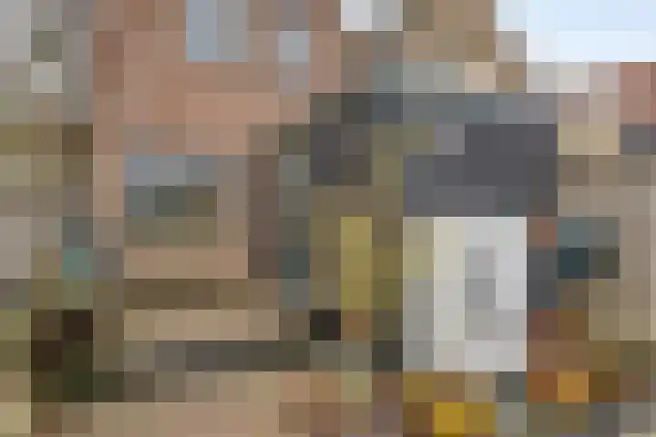 Dorpsplein 10 Nisse thumbnail 22