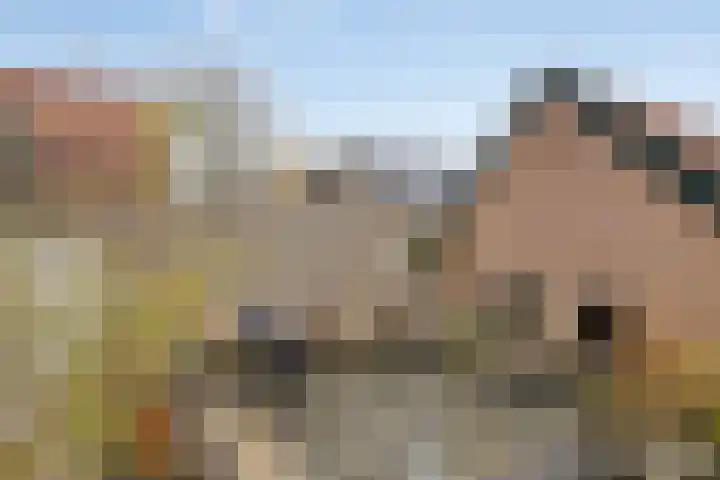 Dorpsplein 10 Nisse thumbnail 23