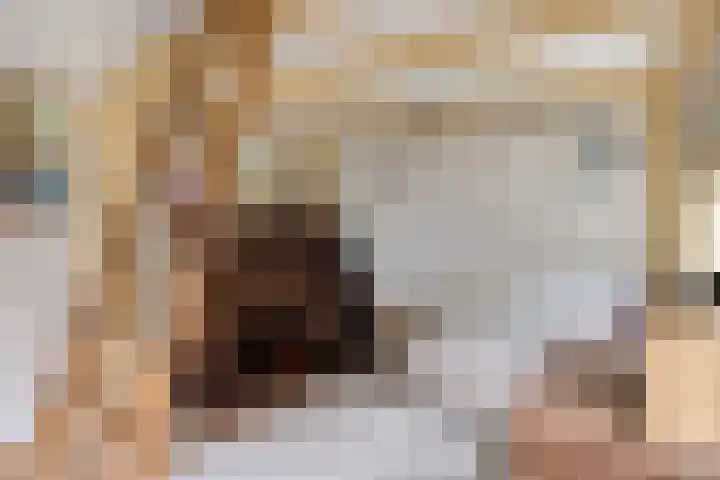 Dorpsplein 10 Nisse thumbnail 28