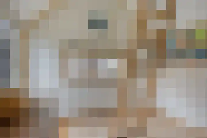 Dorpsplein 10 Nisse thumbnail 29
