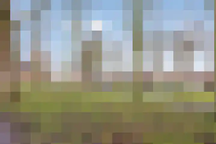 Dorpsplein 10 Nisse thumbnail 31