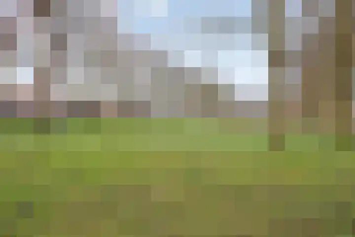 Dorpsplein 10 Nisse thumbnail 32