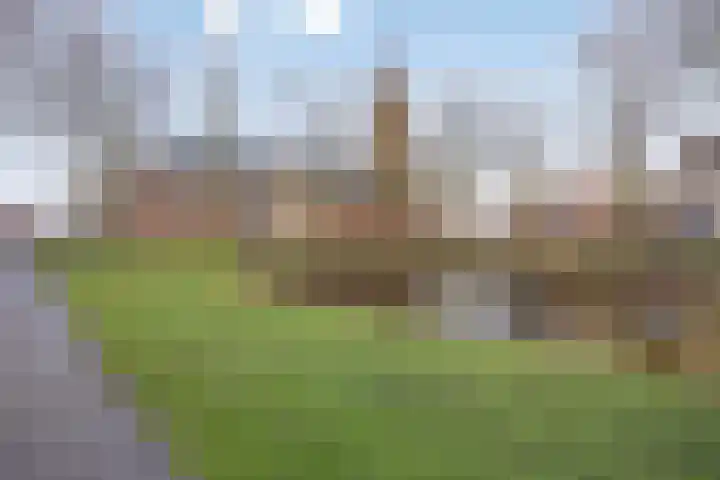 Dorpsplein 10 Nisse thumbnail 33