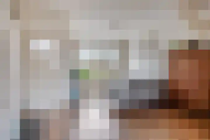Dorpsplein 10 Nisse thumbnail 6