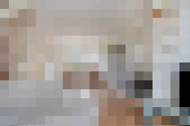 Dorpsplein 10 Nisse thumbnail 7