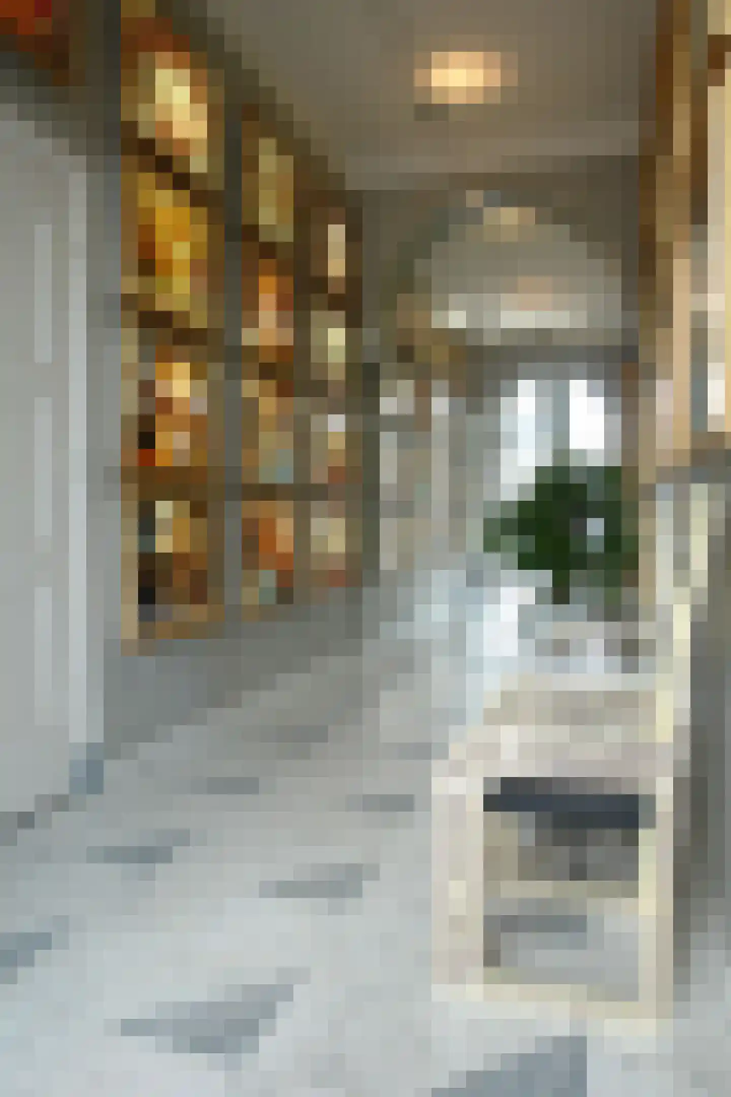 Dorpsplein 13 Lage Mierde thumbnail 15