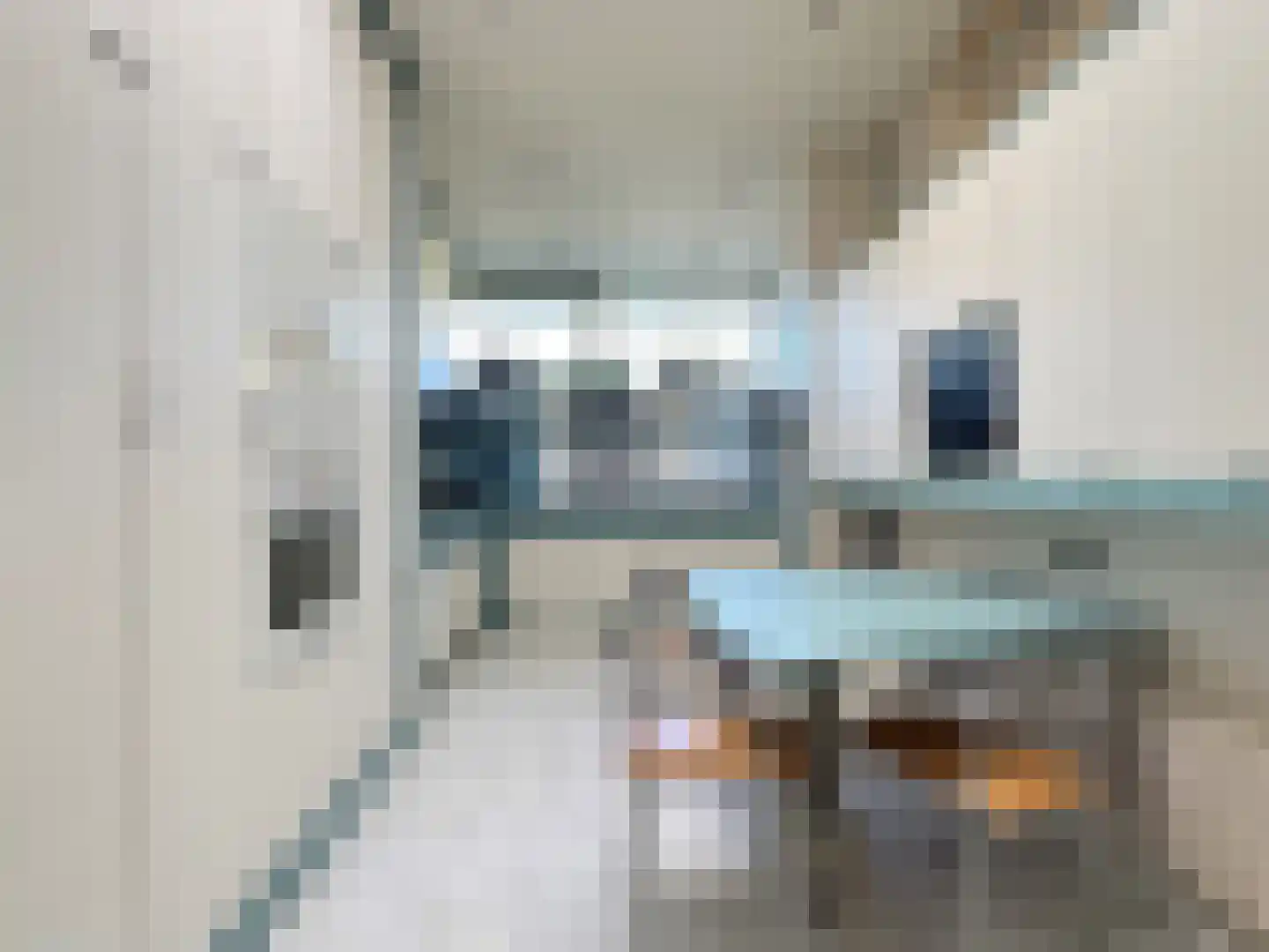 Dorpsplein 13 Lage Mierde thumbnail 27