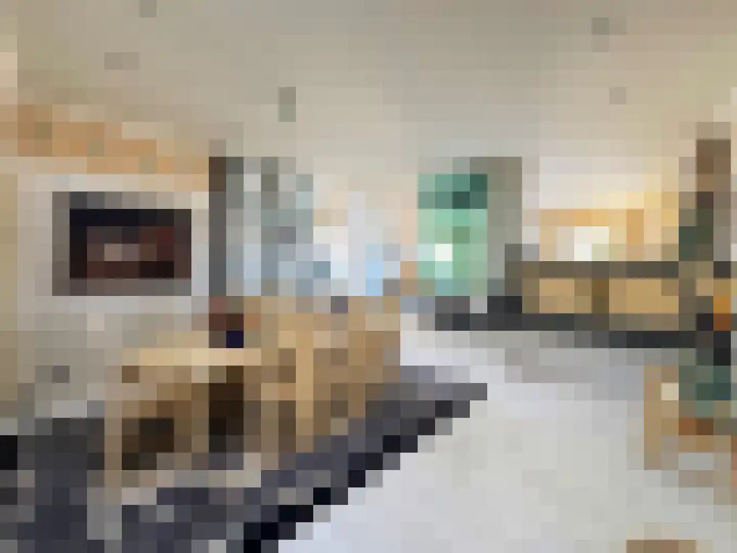 Dorpsplein 13 Lage Mierde thumbnail 32