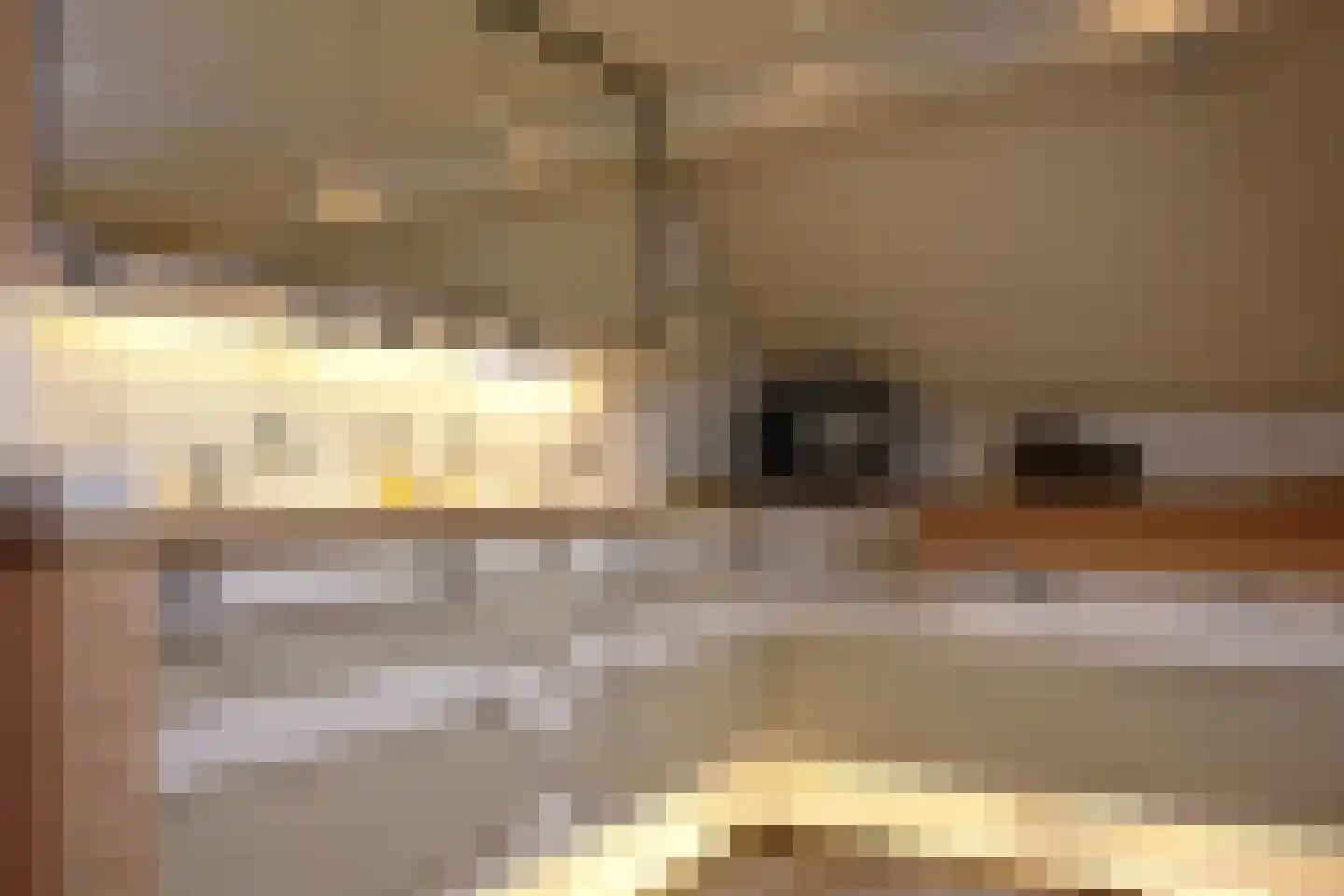 Dorpsplein 13 Lage Mierde thumbnail 42