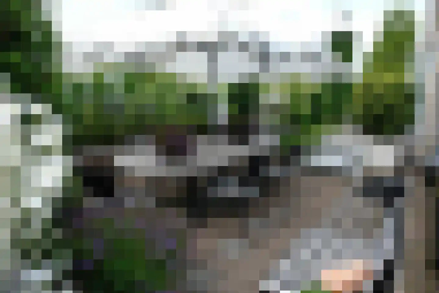 Dorpsplein 13 Lage Mierde thumbnail 52