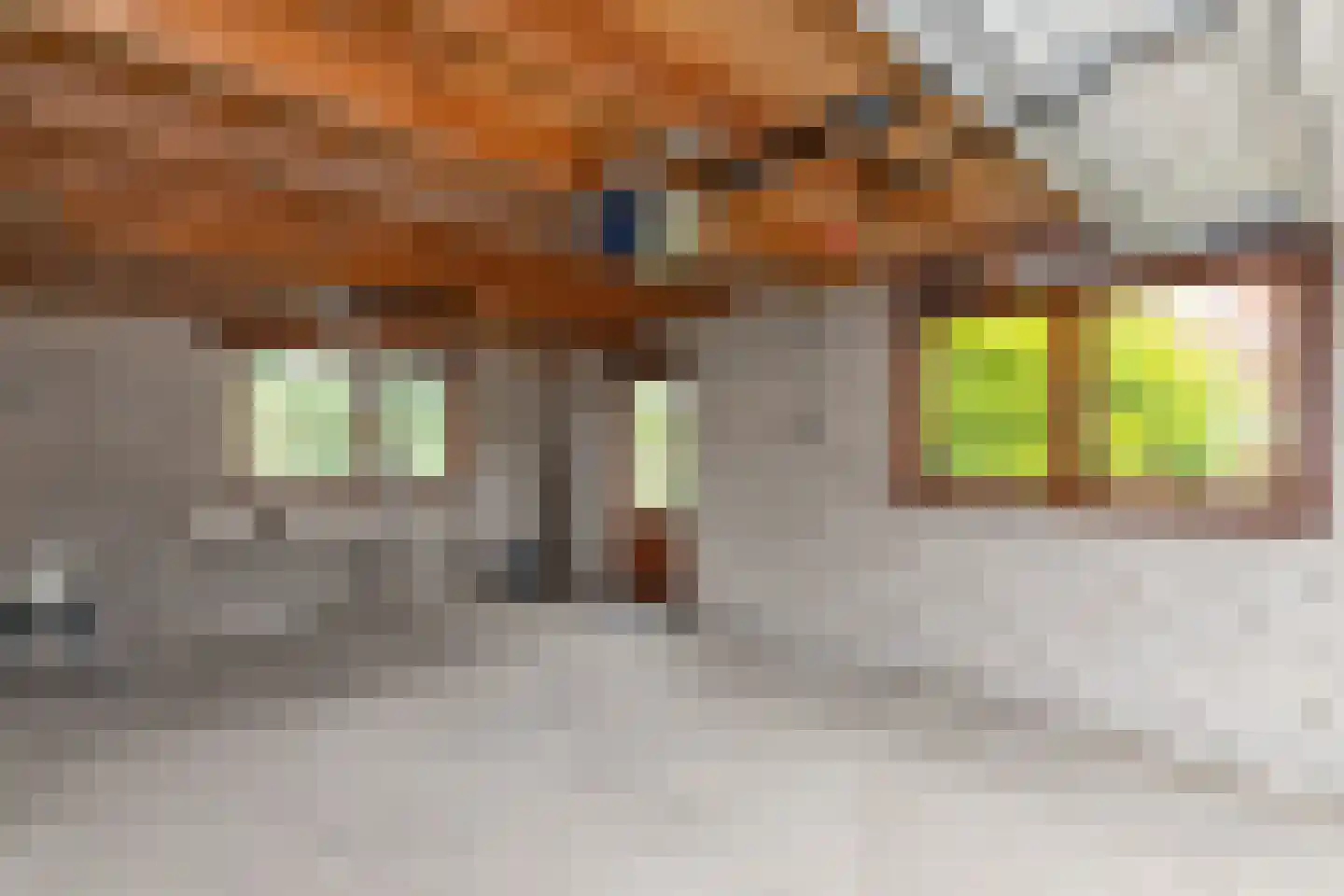 Dorpsplein 14 Koudekerke thumbnail 39