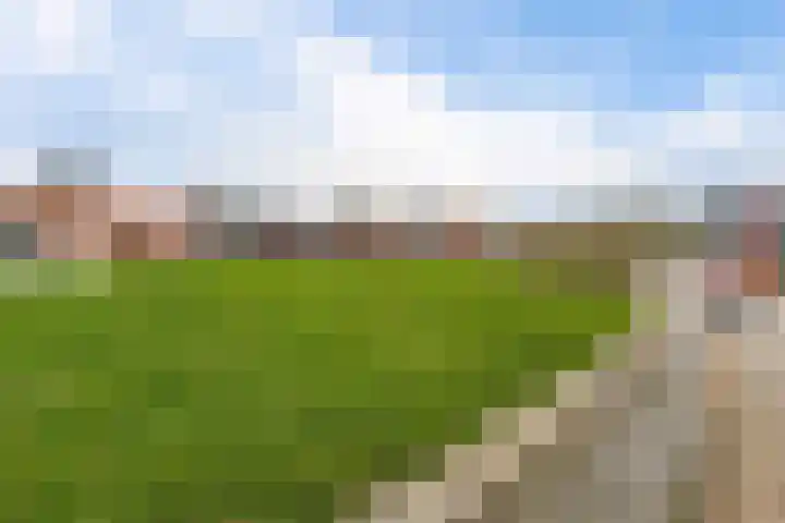 Dorpsplein 15 A Callantsoog thumbnail 43