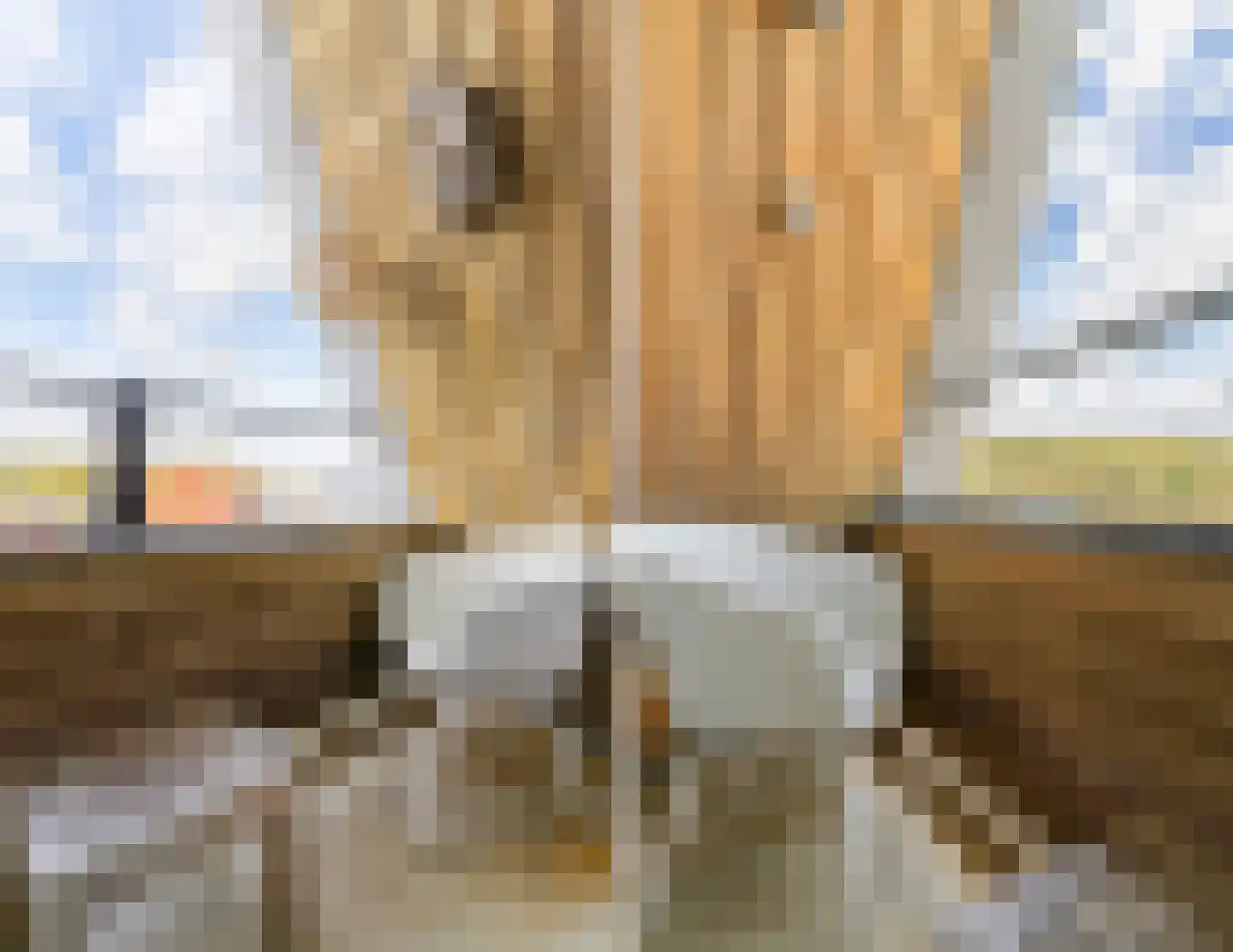 Dorpsplein 15 D Callantsoog thumbnail 42