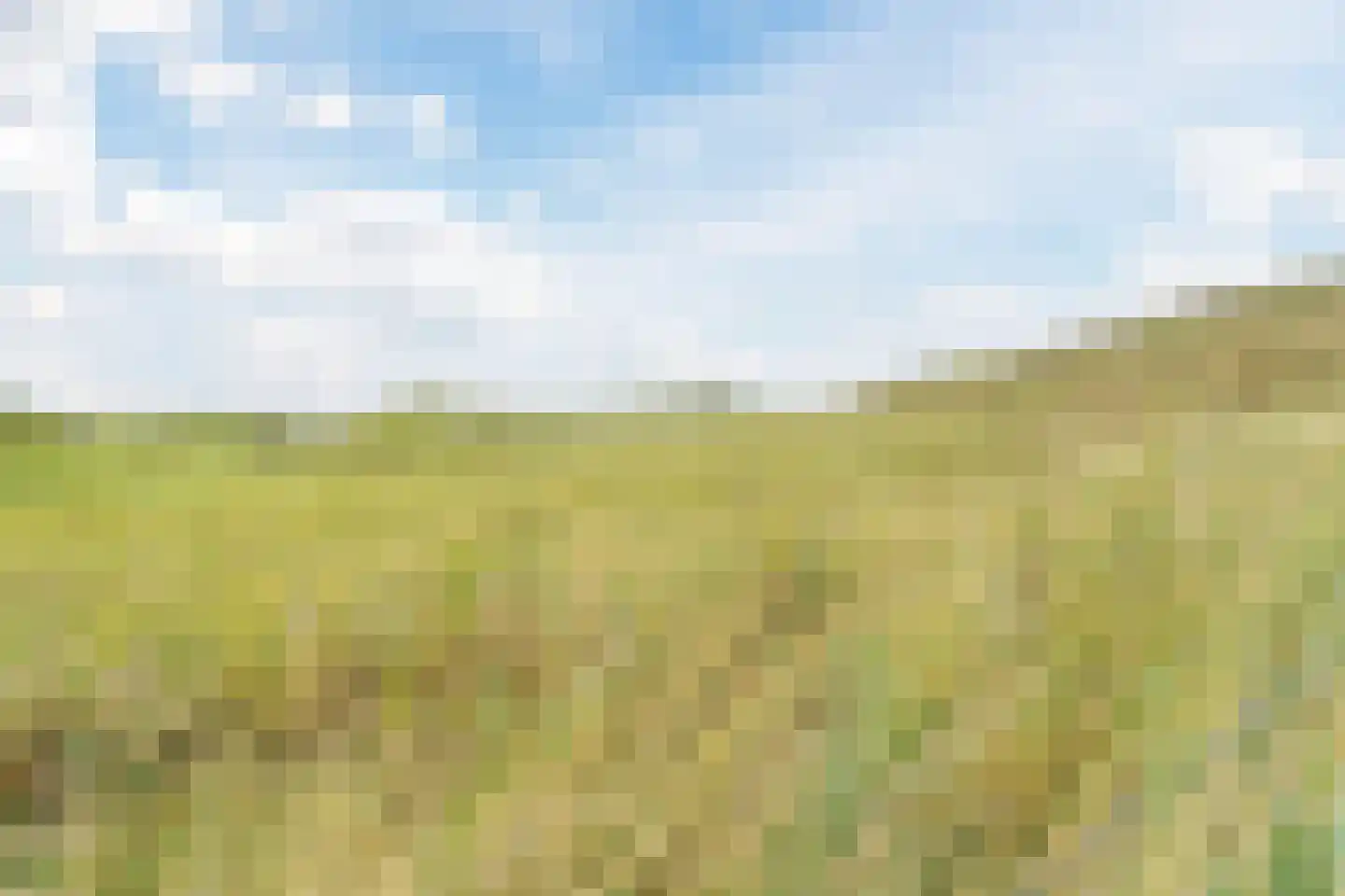 Dorpsplein 15 D Callantsoog thumbnail 65