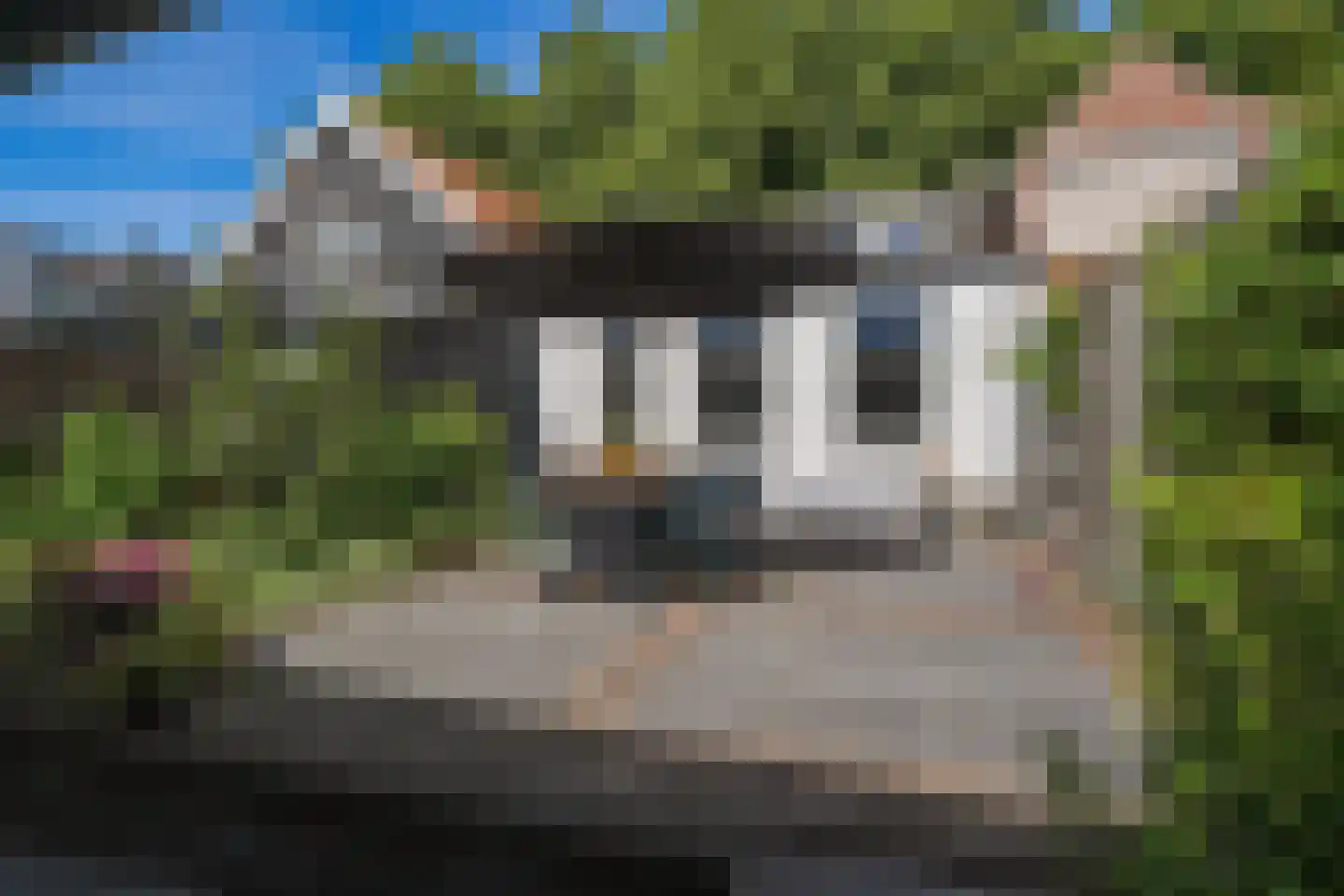 Dorpsplein 15 Nisse thumbnail 14