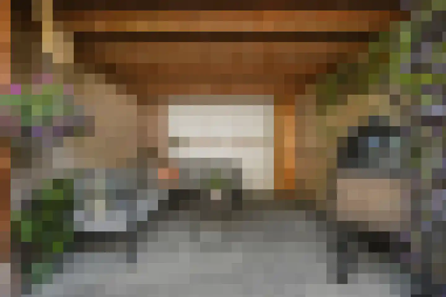 Dorpsplein 15 Nisse thumbnail 17