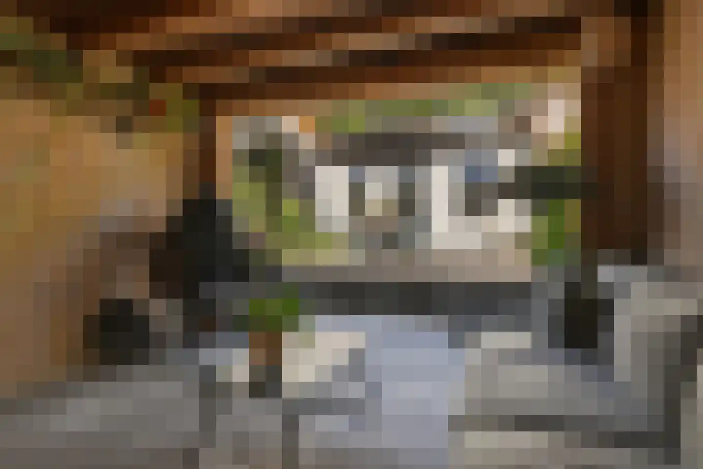 Dorpsplein 15 Nisse thumbnail 18
