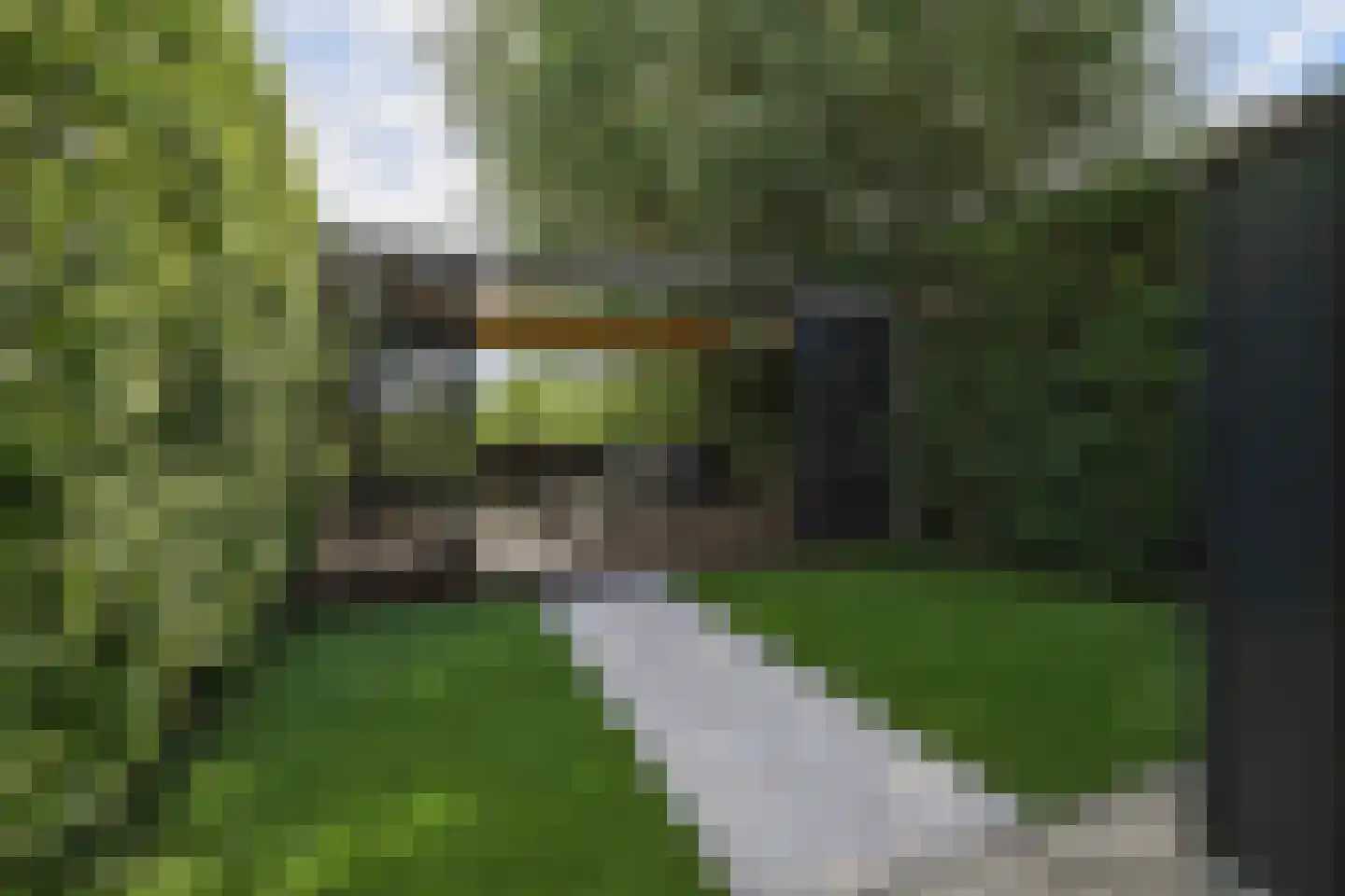 Dorpsplein 15 Nisse thumbnail 23