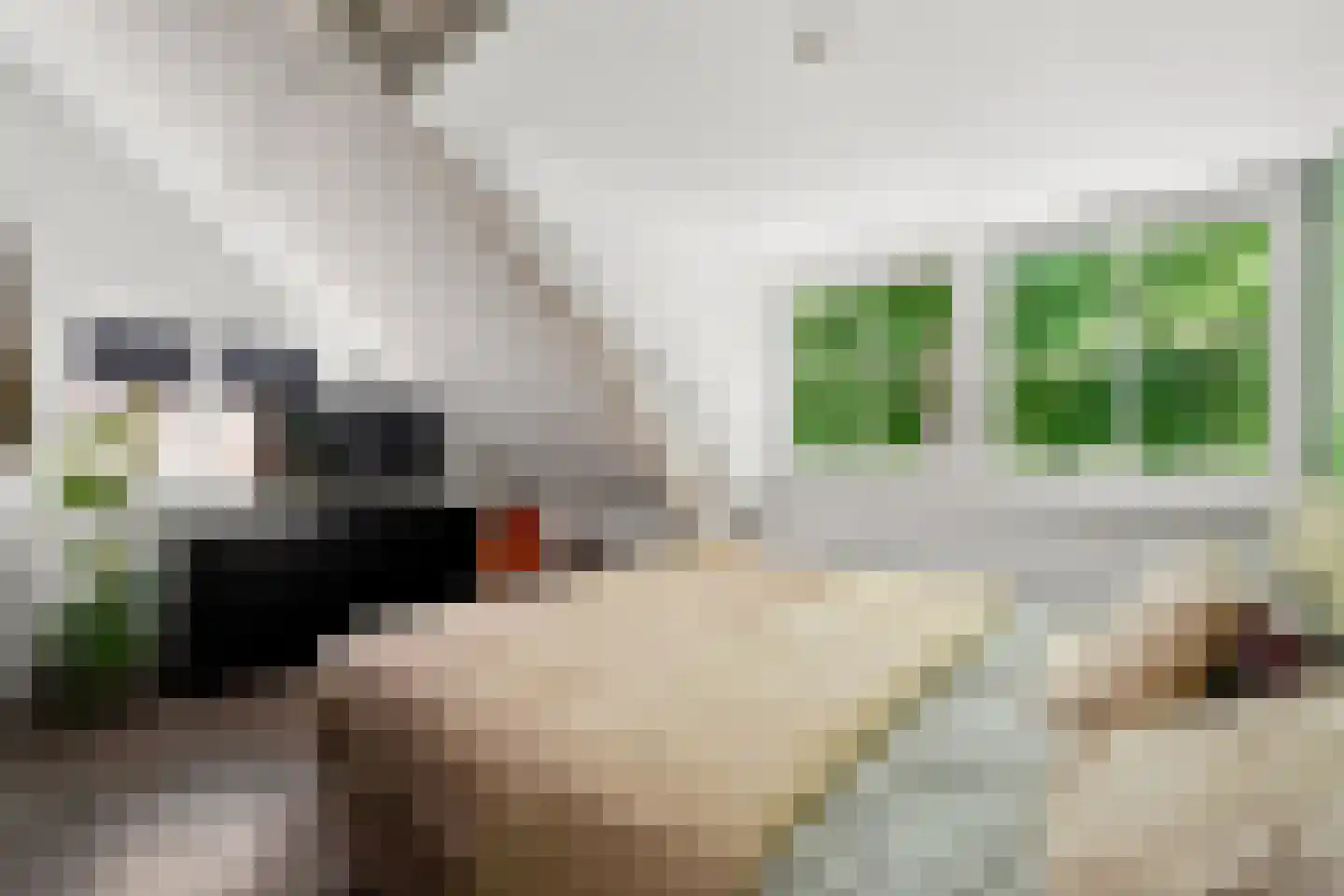 Dorpsplein 15 Nisse thumbnail 27