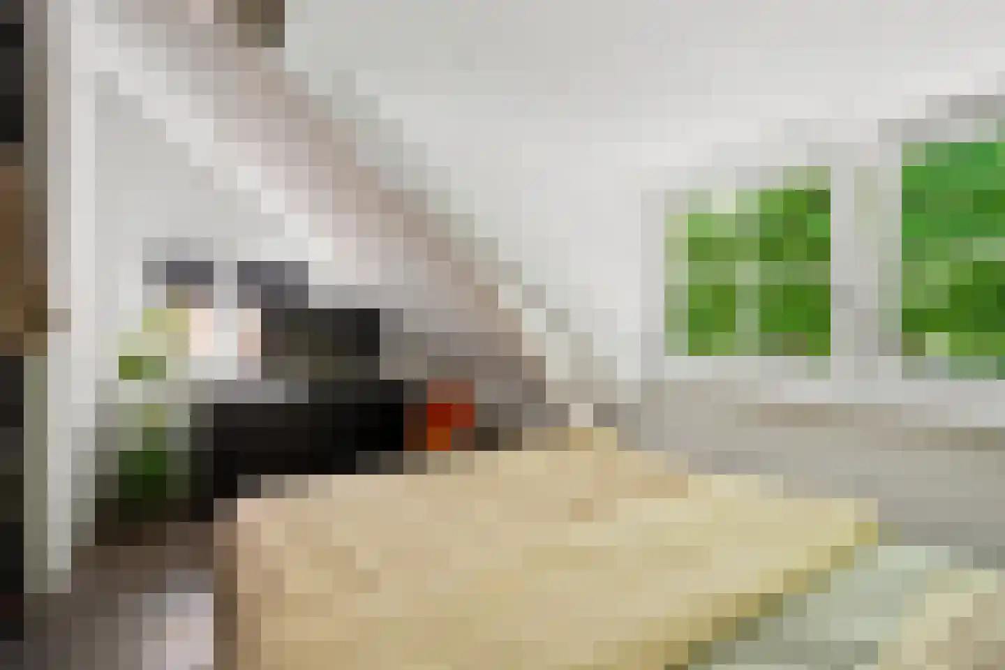 Dorpsplein 15 Nisse thumbnail 29
