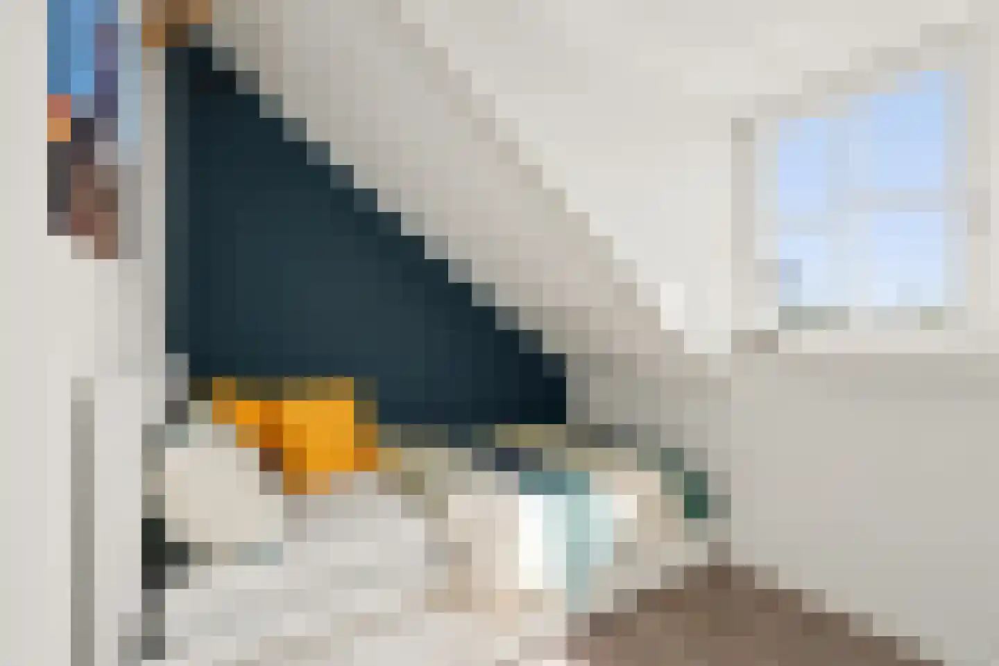 Dorpsplein 15 Nisse thumbnail 32
