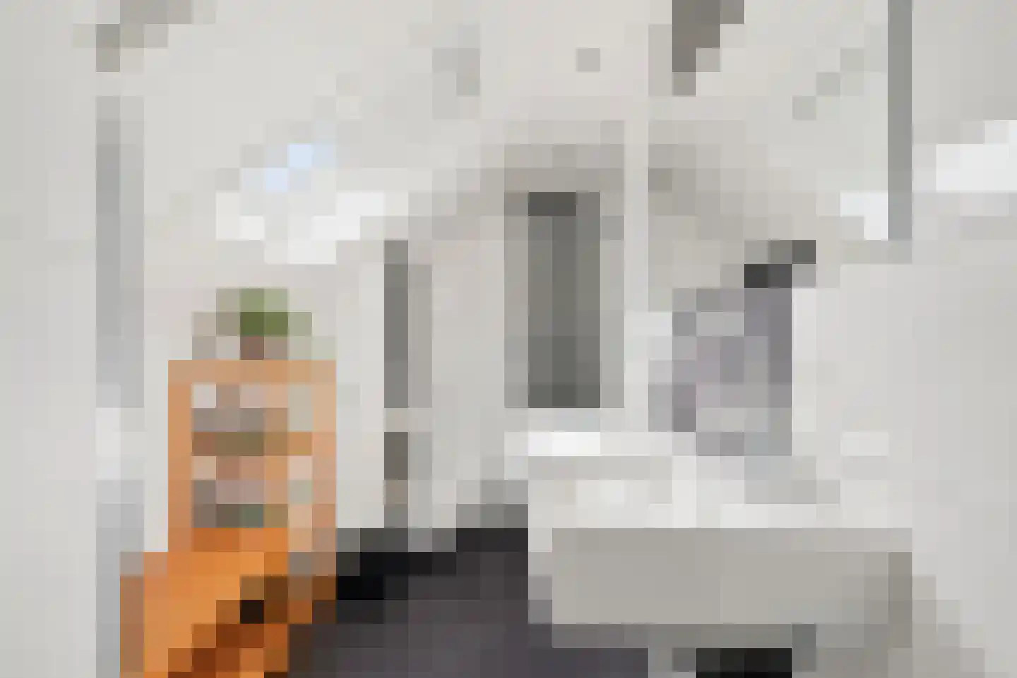 Dorpsplein 15 Nisse thumbnail 34