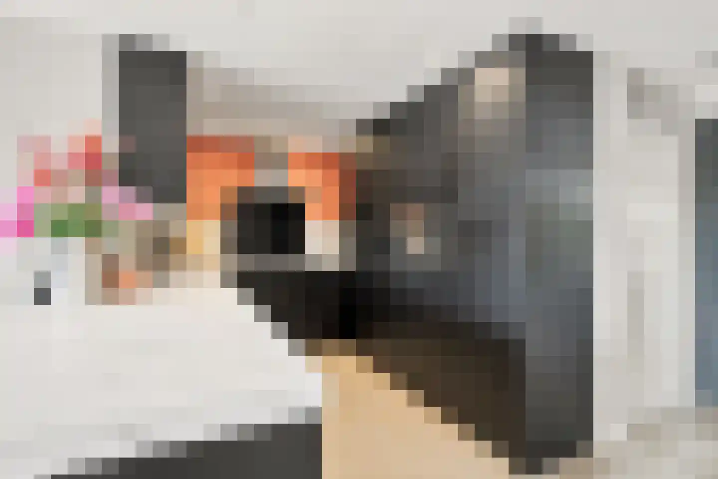 Dorpsplein 15 Nisse thumbnail 8