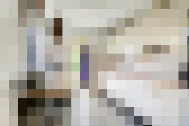 Dorpsplein 15 Weurt thumbnail 16