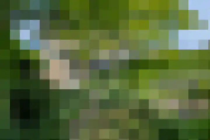 Dorpsplein 15 Weurt thumbnail 5
