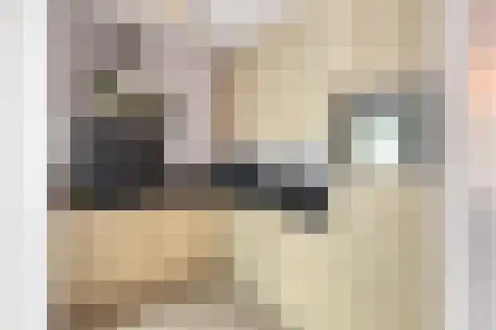 Dorpsplein 17 Lage Mierde thumbnail 12