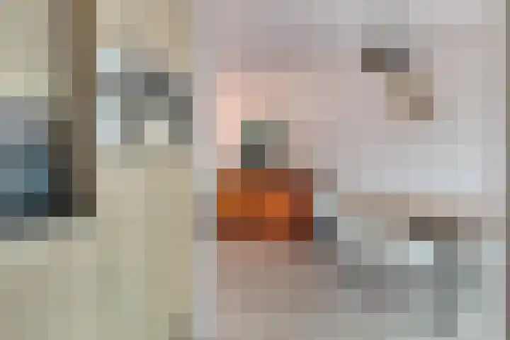 Dorpsplein 17 Lage Mierde thumbnail 17