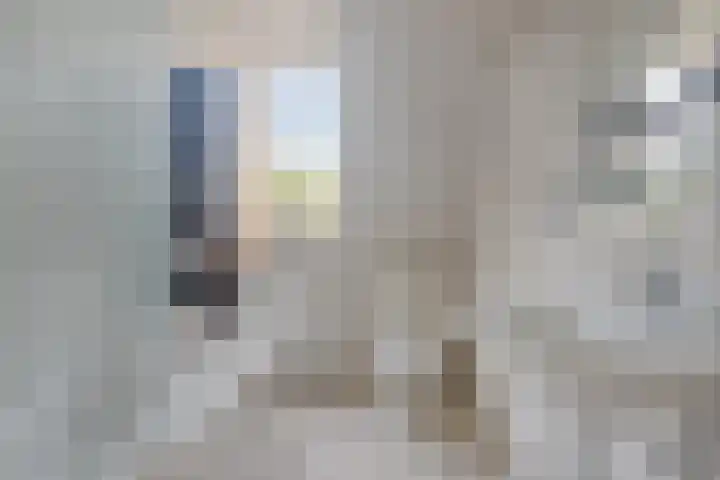 Dorpsplein 17 Lage Mierde thumbnail 27