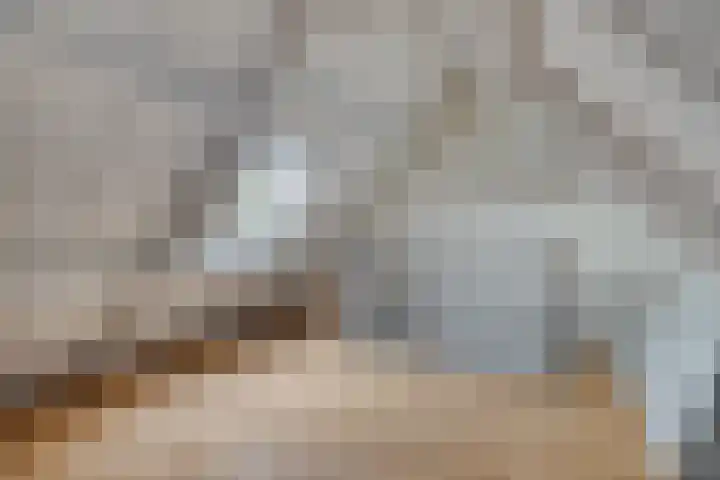 Dorpsplein 17 Lage Mierde thumbnail 30