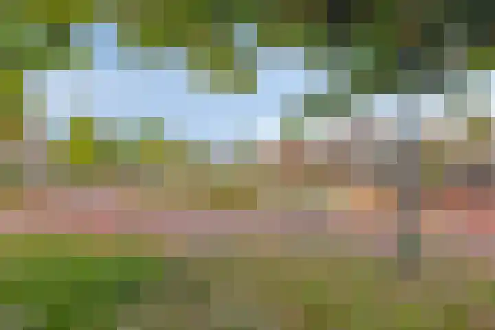 Dorpsplein 17 Lage Mierde thumbnail 37