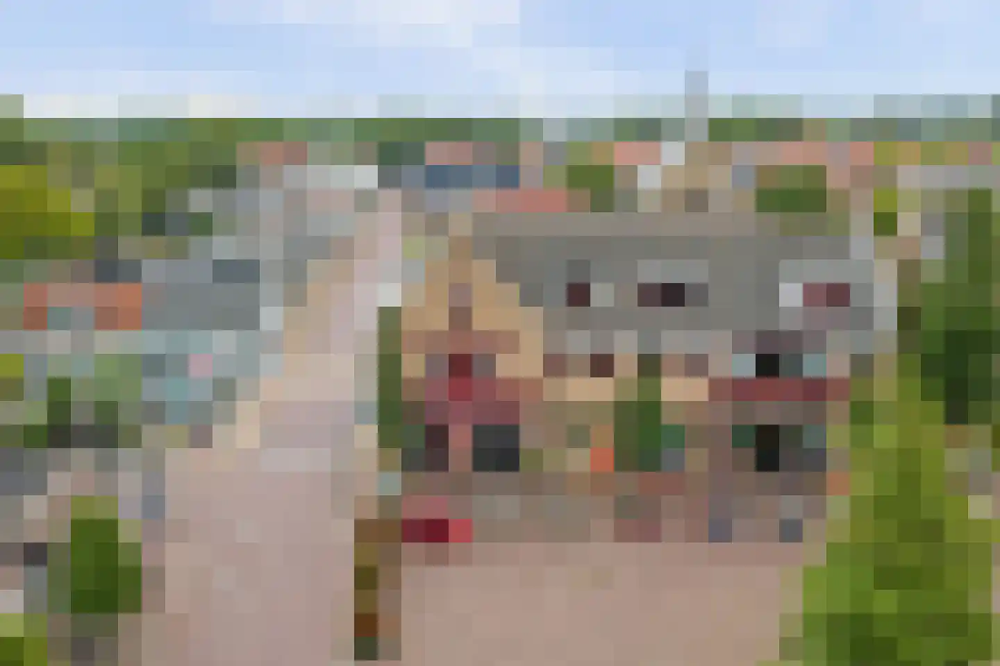 Dorpsplein 17 Rockanje thumbnail 35