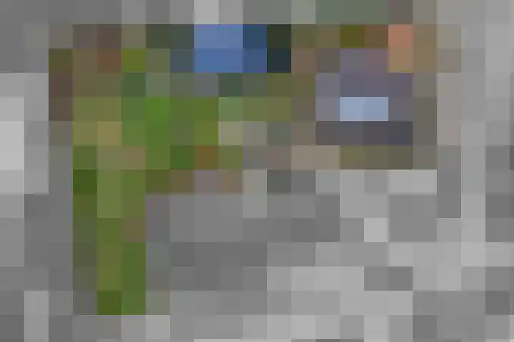 Dorpsplein 2 Est thumbnail 102