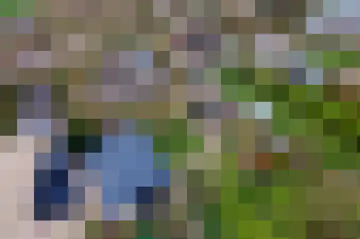 Dorpsplein 2 Est thumbnail 106