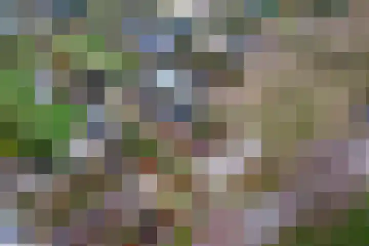 Dorpsplein 2 Est thumbnail 108