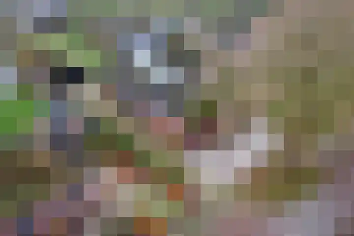 Dorpsplein 2 Est thumbnail 109
