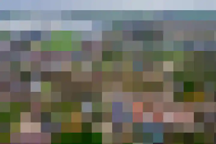 Dorpsplein 2 Est thumbnail 111