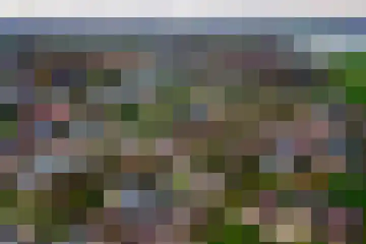 Dorpsplein 2 Est thumbnail 112